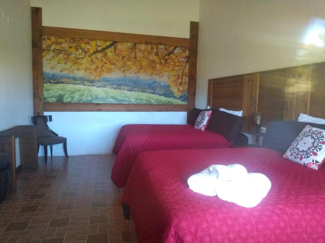 Hotel Hacienda Las Marias Меоки Экстерьер фото